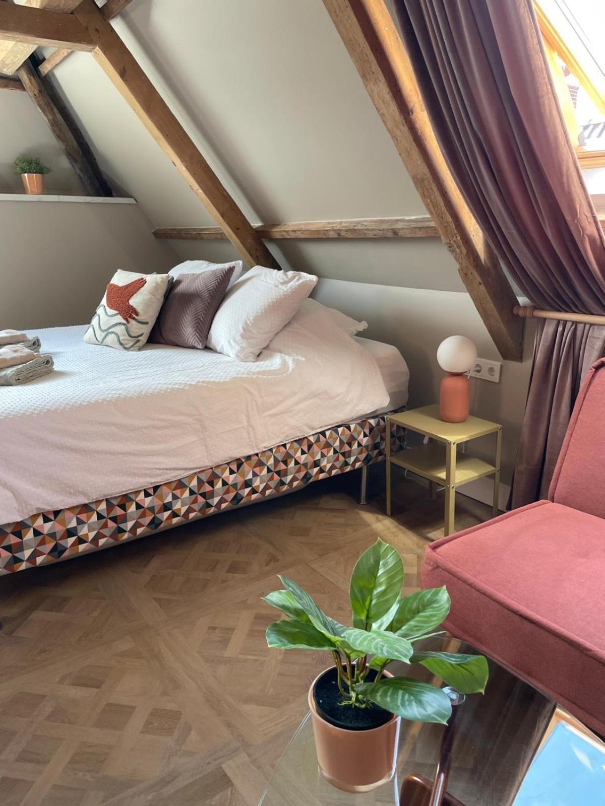B&B Suupmarkt 도쿰 외부 사진